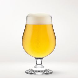 Williams Sonoma Tulip Beer Glasses, Set of 4