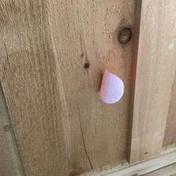 OPEN BOX:Cedar Chicken Coop With Planter