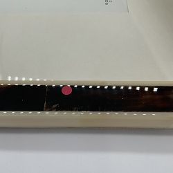 OPEN BOX:Horn and Bone Picture Frame, Dark, 5" X 7"
