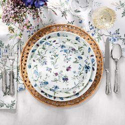 Hill House x Williams Sonoma Climbing Vine Appetizer Plates
