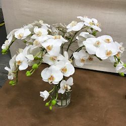 OPEN BOX: Faux Orchid Arrangement in Slim Vase