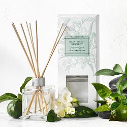 Williams Sonoma Rainforest Retreat Essential Oils Collection