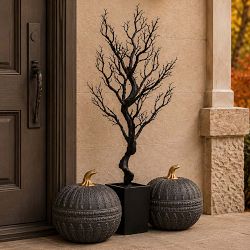 Faux Black Pumpkin