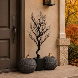 Spooky Halloween Faux Tree in Black Pot, 38"