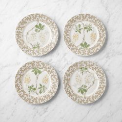 Sanderson x Williams Sonoma Country Woodland Salad Plates