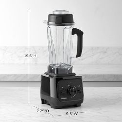 Vitamix VX1 Blender