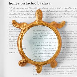 Turtle Magnifying Glass
