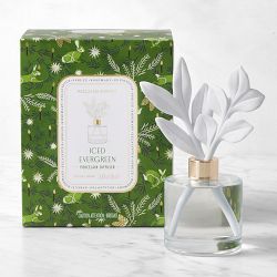 Home Fragrance Seasonal Porcelain Diffuser Iced Evergreen