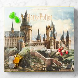 HARRY POTTER™ x Williams Sonoma Advent Calendar
