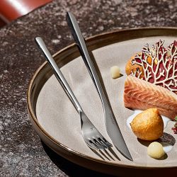 Fortessa Dragonfly Flatware Set