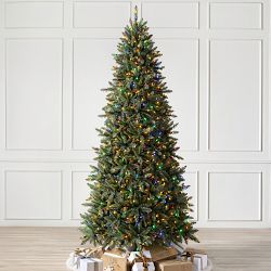 Faux Concolor Fir 6.5ft Led Color+clear
