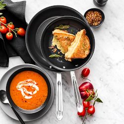 All-Clad D5® Polished Stainless-Steel Pro Nonstick Fry Pan, Set of 2