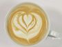 Video 2 for Breville Oracle® Espresso Machine