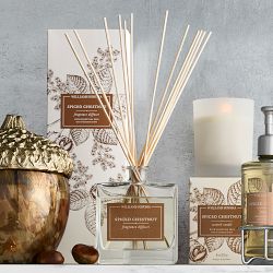 Williams Sonoma Spiced Chestnut Fragrance Diffuser, 4.7oz