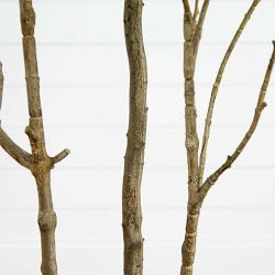 Artificial Minimalist Japanese Pieris Tree with Real Touch Leaves, 7'