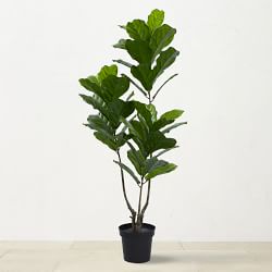 UV Resistant Faux Fiddle Leaf Tree, 65"