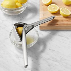 Dreamfarm Stainless-Steel Fluicer Fold Flat Easy Juicer