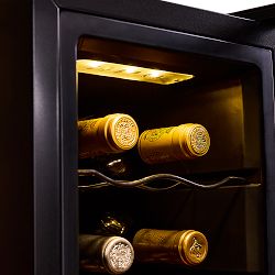 Wine Enthusiast 12-Bottle Wine Refrigerator with Upright Bottle Storage