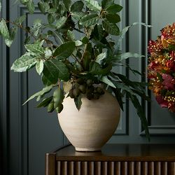 Jeff Leatham x Williams Sonoma Round White Ceramic Vase