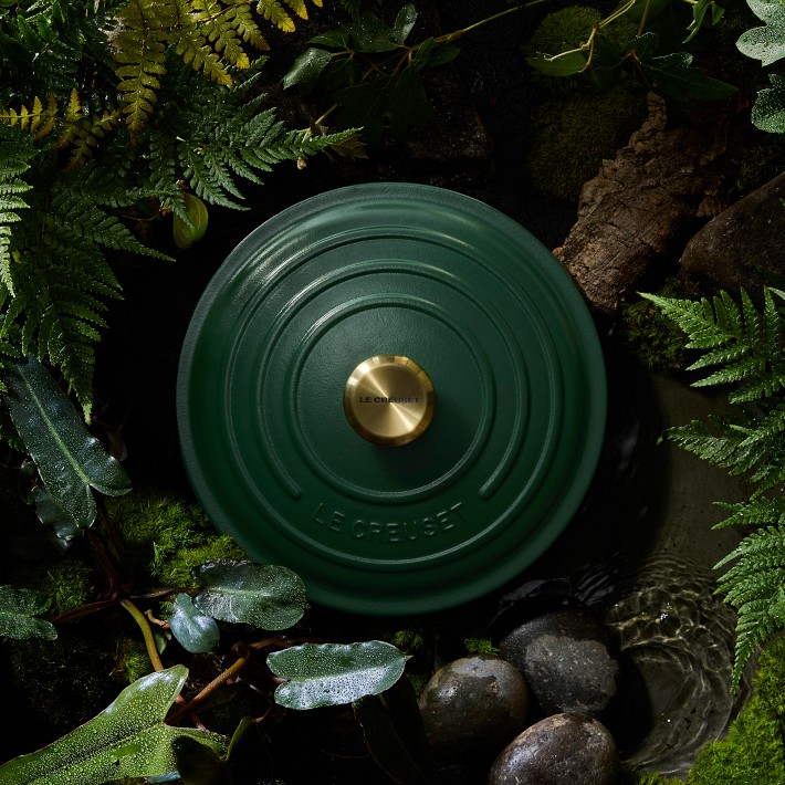 Le Creuset Forêt Collection Cookware | Williams Sonoma