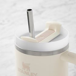 Williams Sonoma Stainless-Steel Straws, Set of 4
