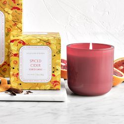 Home Fragrance Seasonal Candle Spiced Cider