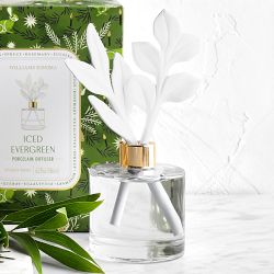 Home Fragrance Seasonal Iced Evergreen Porcelain Diffuser