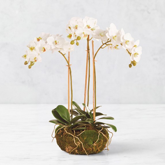 Jeff Leatham Faux Orchid in Bowl, 25