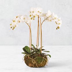 Faux Phalaenopsis Orchid Mini Garden Drop-In, 16"