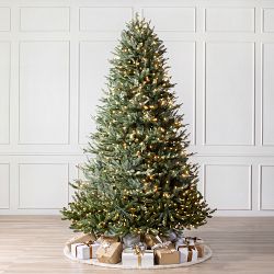 Balsam Hill Most Realistic Balsam Fir Faux Tree, 6.5' LED Clear