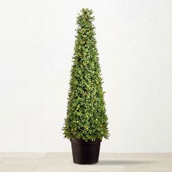 Pre-Lit UV Protected Faux Boxwood Cone Topiary in Pot, 48"