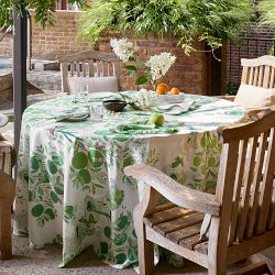 Matouk Schumacher Citrus Garden Napkins, Set of 4