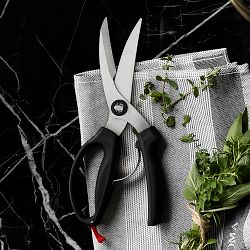 OXO Poultry Shears