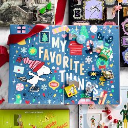PEANUTS™ x Williams Sonoma 24 Day Advent Calendar