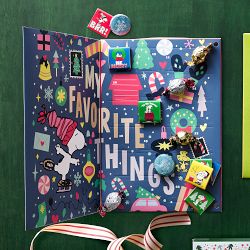 PEANUTS™ x Williams Sonoma 24 Day Advent Calendar