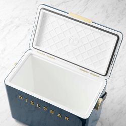 Fieldbar Gin Trunk Cooler
