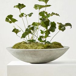 Low Zen Bowl