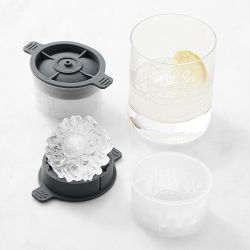 Williams Sonoma Daisy Ice Moulds, Set of 2