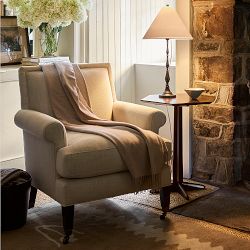 Josh Young x Williams Sonoma Home Ignacio Occasional Chair