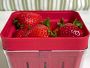 Video 1 for Chef'n Berry Basket
