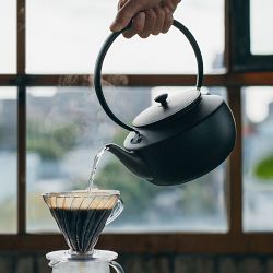 BALMUDA Moon Kettle: Precision Electric Kettle | Williams Sonoma