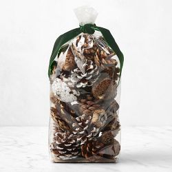 Williams Sonoma Winter Forest Scented Pinecones Filler