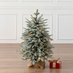 Balsam Hill Most Realistic Frosted Balsam Fir Faux Tree, 2.5', LED Clear