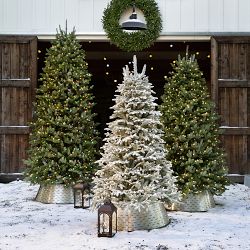 Balsam Hill Most Realistic Frosted Balsam Fir Faux Tree