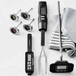 Williams Sonoma Waterproof Pen Thermometer