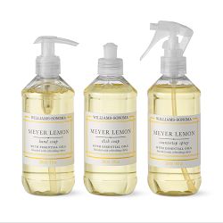 Williams Sonoma Meyer Lemon Kitchen Essentials Kit