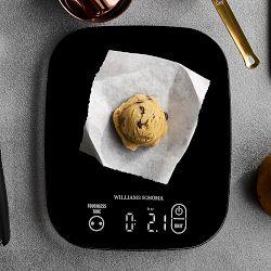Williams Sonoma USB Black Glass Waterproof Scale