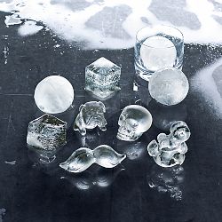 Williams Sonoma Novelty Ice Mold, Set of 2, Bulldog