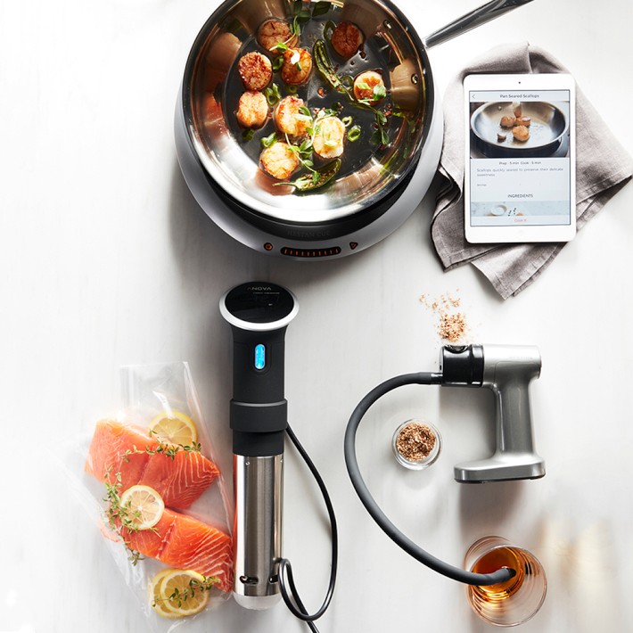 Breville Smoking Gun® Food & Beverage Smoker | Williams Sonoma