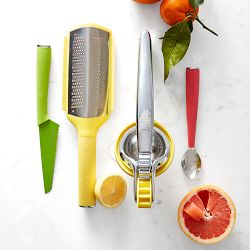 Williams Sonoma Citrus Press